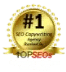 top-seo-badge